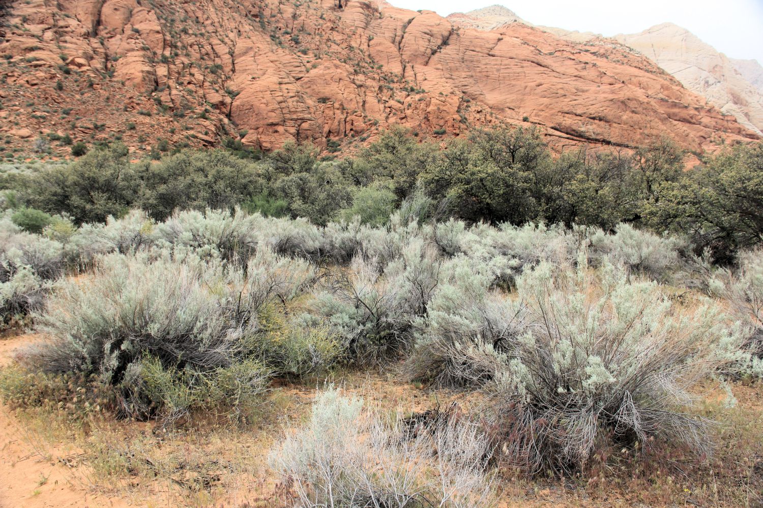 Snow Canyon State Park 